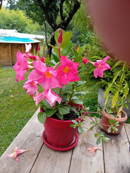 Fichier:2024-08-18T13 45 07+02 00.jpg