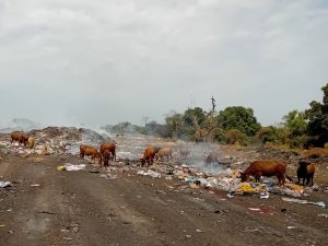 Kédougou - Décharge particuliers