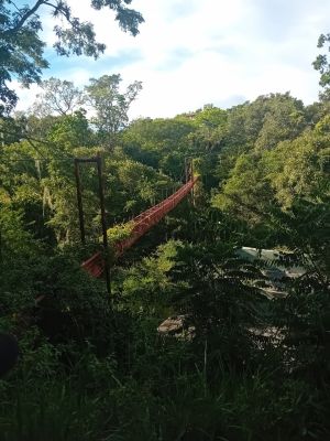 20251025 153923.resized-12800.jpg